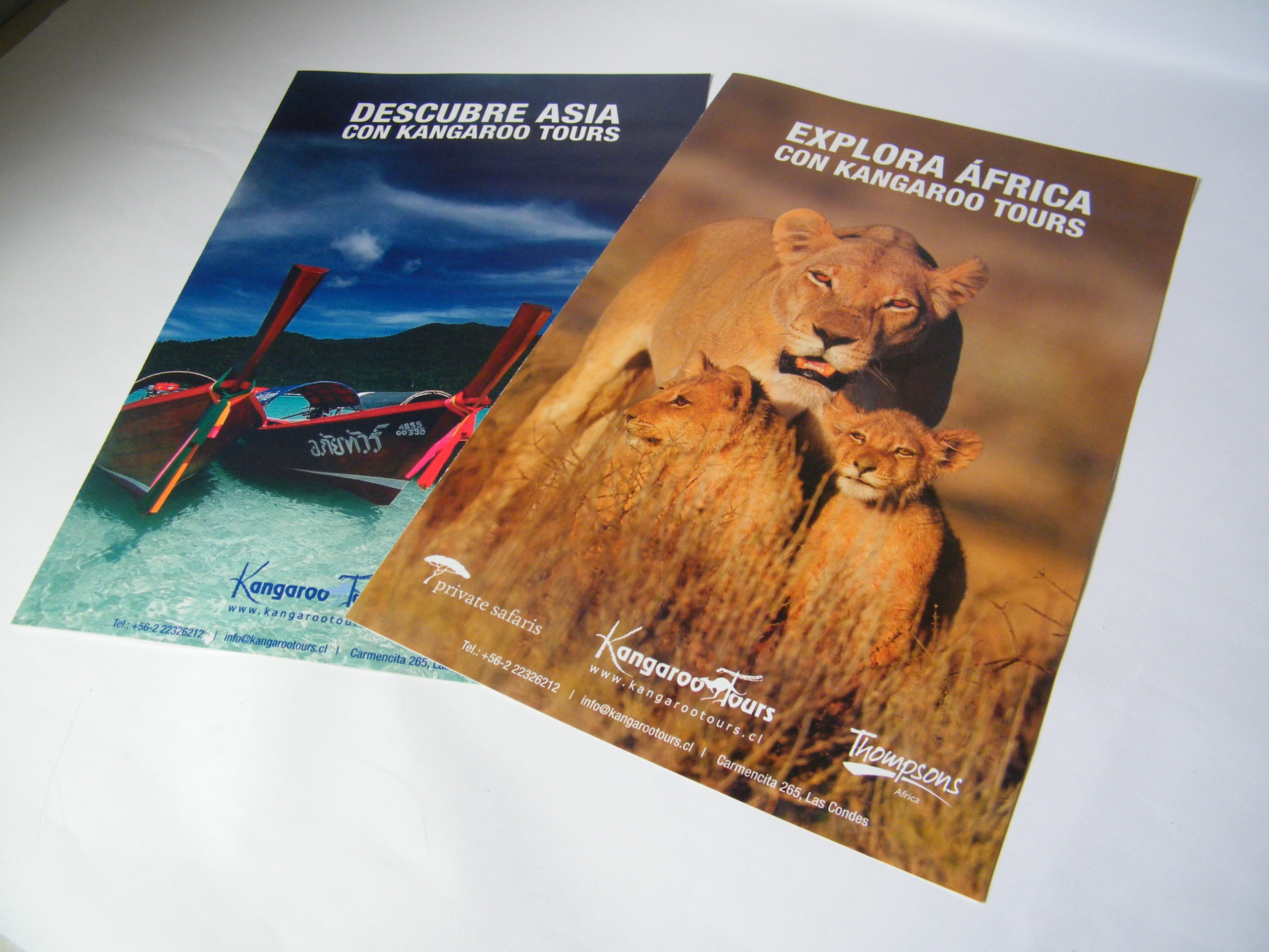 Kangaroo Tours